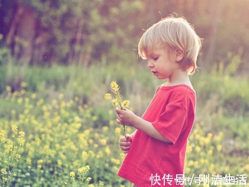 父母|超过这个年龄还不给零花钱,孩子会去偷,很多父母都忽略了