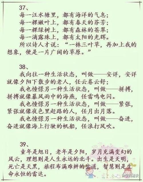 语文老师大赞：将这50个漂亮句子插入作文，谁都忍不住给高分！