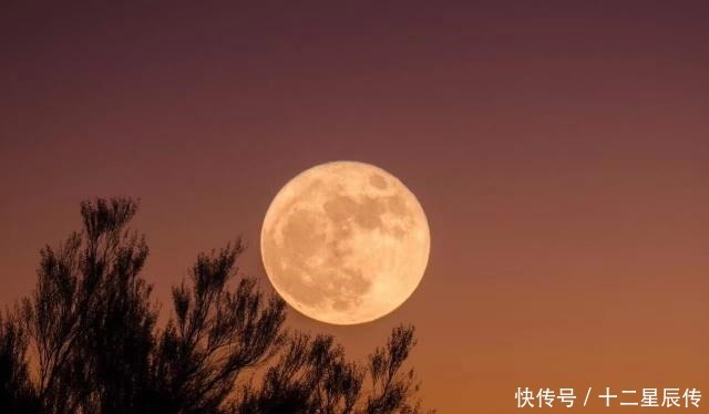 花前|男人对爱有多坚定一首流传千年的经典,9个字道尽世间多少痴情