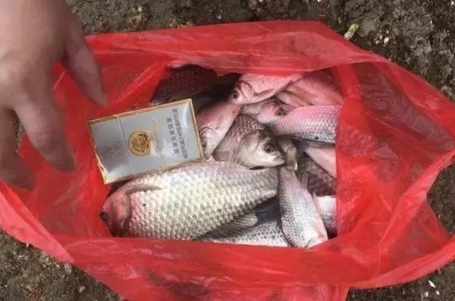 钓鱼时,选用粗尾漂还是细尾漂?老钓手:至少一半钓鱼人用错了