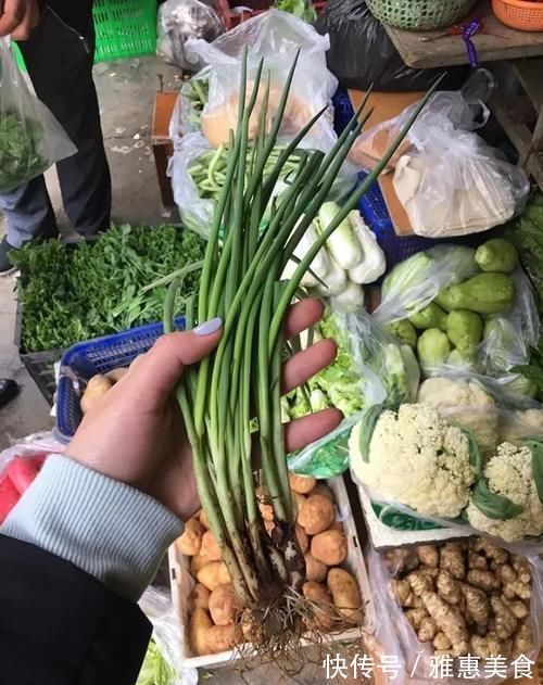 同样都是大葱，看看南方吃的大葱，再看看北方吃的大葱，我凌乱了