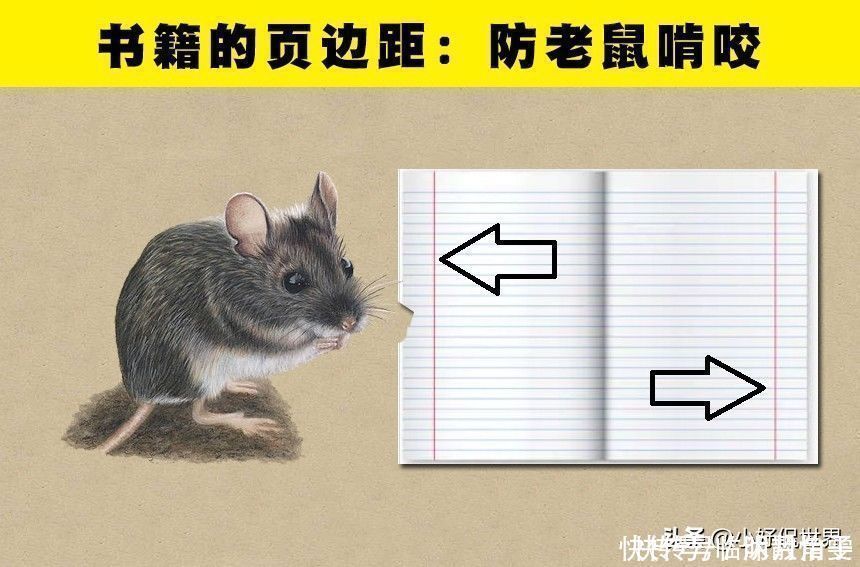 关于7件常见事物，你可能没有听说过的小秘密