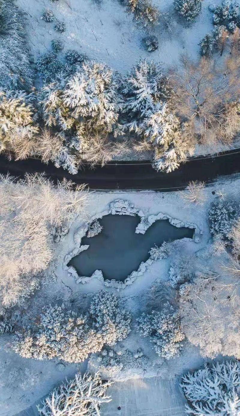 初雪中的济南南郊宾馆|镜头下 | 初雪