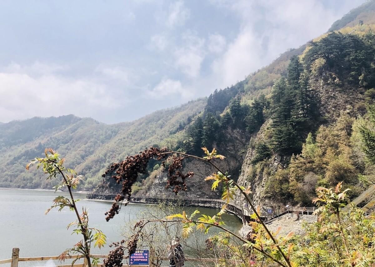 晶莹|犹如一颗晶莹美丽的明珠,镶嵌在山区腹地当中,孟达自然保护区