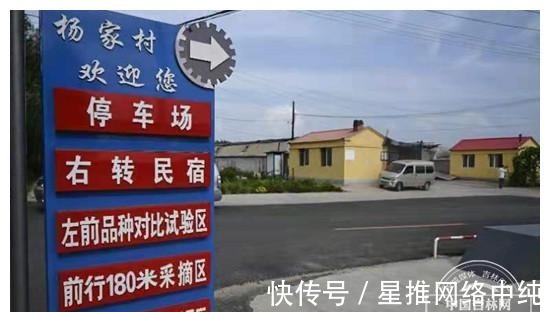 小院|美丽乡村纪事 走进乡村看小康丨韵味十足的“杨家”民宿小院 让