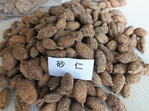 方子|“顽痰生怪症”,化痰最彻底的方子来了,从根上化掉你的痰!