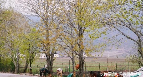 加速|到香格里拉不可错过的三个旅行体验，第一个就能让你心跳加速