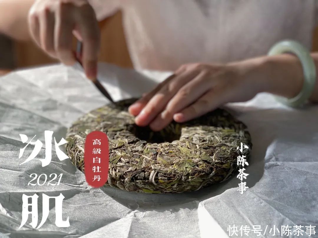 叶片|白牡丹和春寿眉散茶时还分得清，压饼后就混淆了？村姑陈教你3招