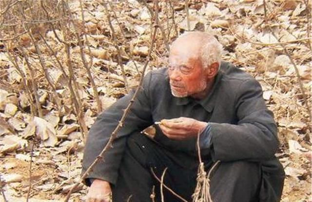  专家|老汉开价800万出售传家宝，专家称顶多值1万，老汉转身卖了1980万