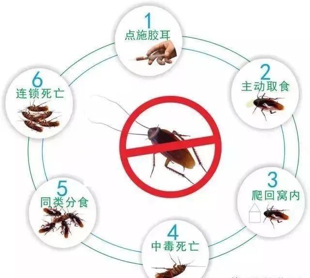 夏天|老一辈常说夏天拉拉肚子是正常的，真的避免不了吗？