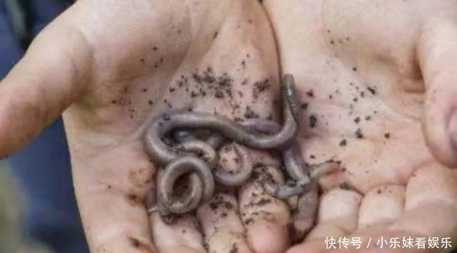 水口处|钓点处“冒泡”,就是不见有鱼吃钩?按我说的做,每次扬竿都有鱼