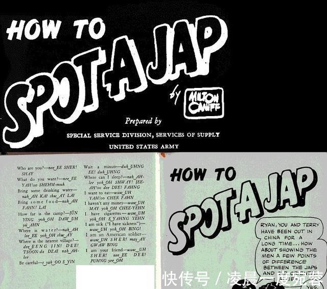 枳术汤|一个调理脾胃虚弱的经典药方，只用了仅仅三味药！