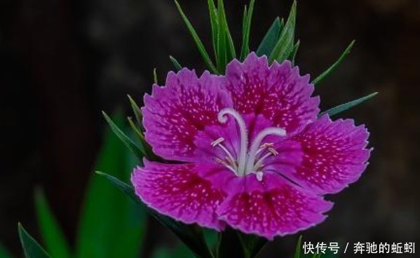 俗话说:吉人自有天相,有福之人有4大特点,难怪福气不请自来!