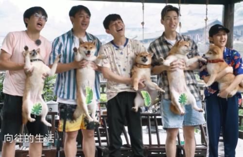 《向往5》第二期最新合照，仓库开仓放粮，张艺兴摔在泥地里？