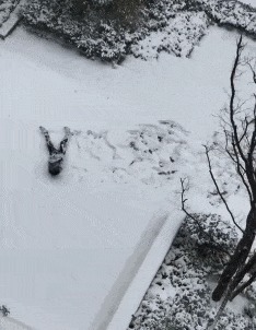 |搞笑GIF：妹子这笑容，我相信所有的不开心都会烟消云散的