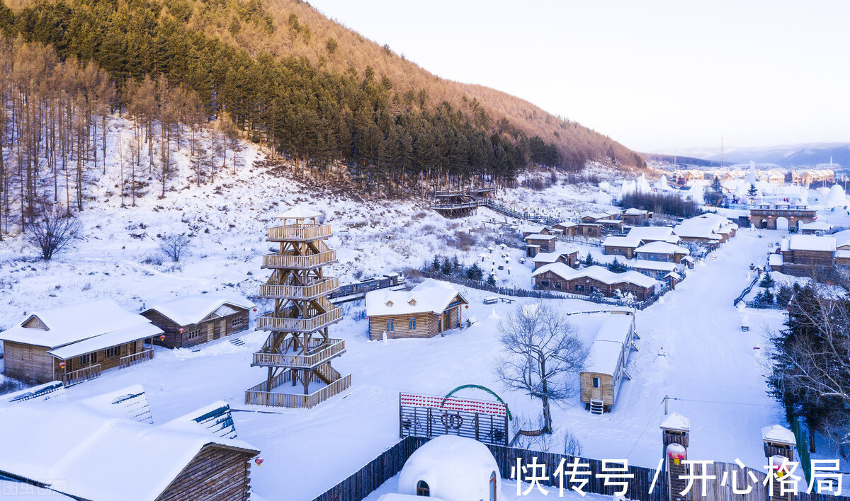 |东北菜为何在南方不火?内行人道出4个原因,搞笑又无奈