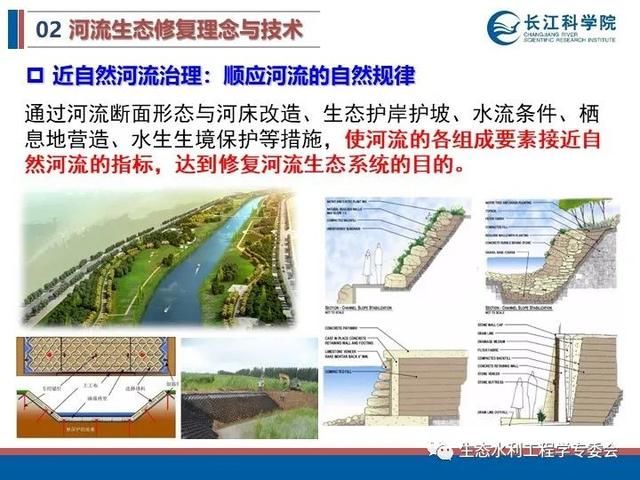 河流|「专家视角」许继军：河流生态修复理念、技术与实践