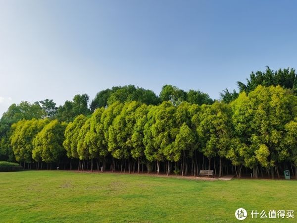 鸿蒙|长测 篇一：与爱国无关，华为Mate 30 Pro确实是台好手机