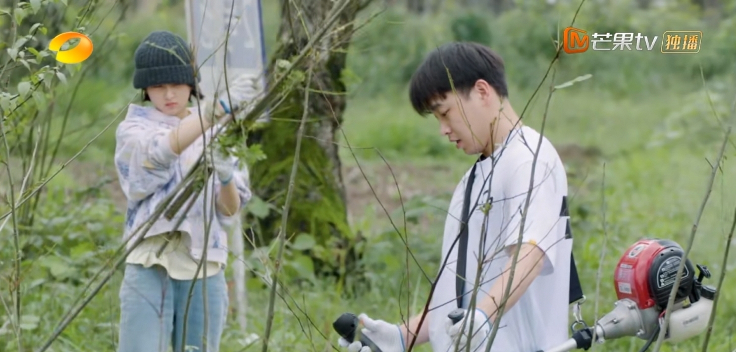 贡献 彭昱畅离开《向往5》,走前做出两大贡献,和陈赫李诞成鲜明对比