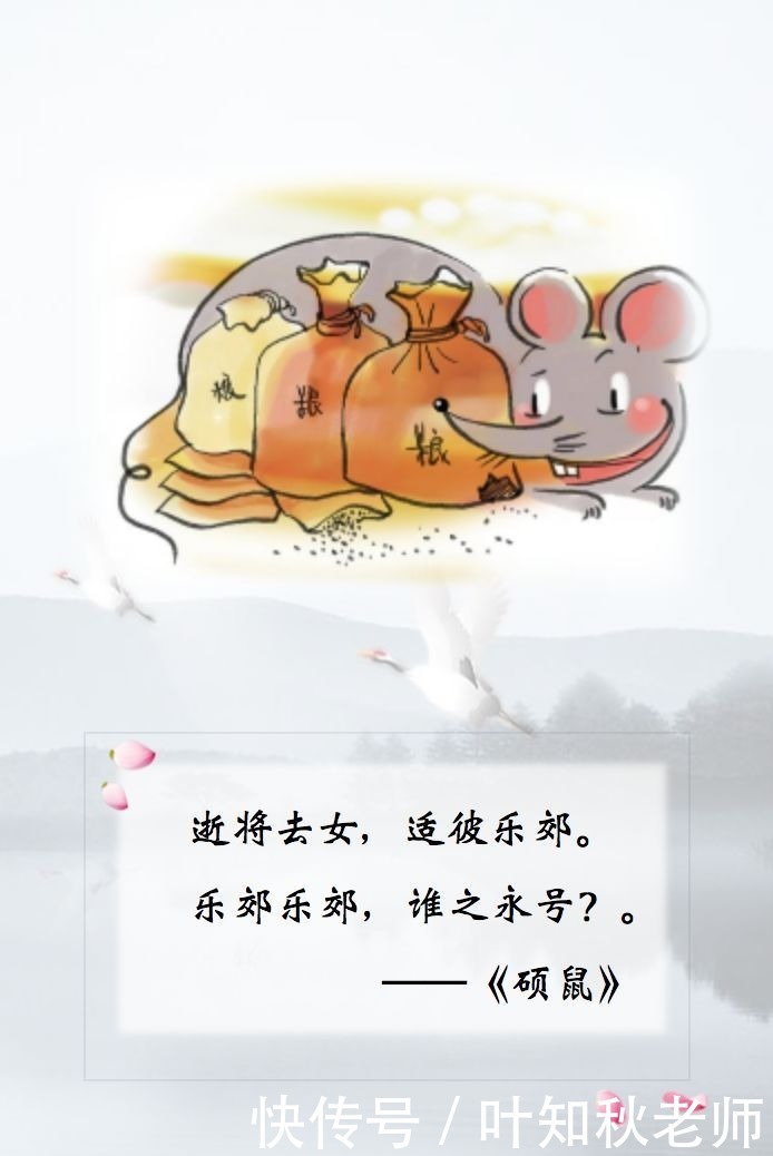  诗经|知秋老师读《诗经》：硕鼠硕鼠，无食我黍——一首劳动者鄙夷剥削者，向往乐土的歌！