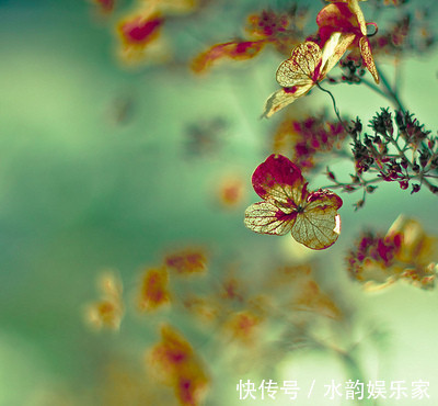 经典|多少人自称阅读专家,看似满腹经纶,却始终都在假装读书