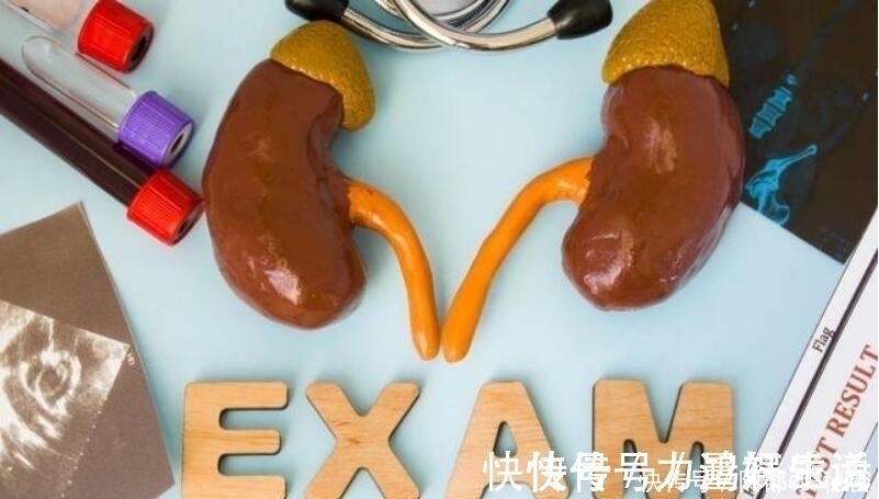 肾小球|患肾病后会不会尿毒症?别瞎猜,5个指标准确告诉你