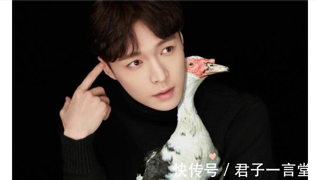 szd|張藝興與彩燈的相愛相殺，粉絲亂嗑cp張燈結彩是真的