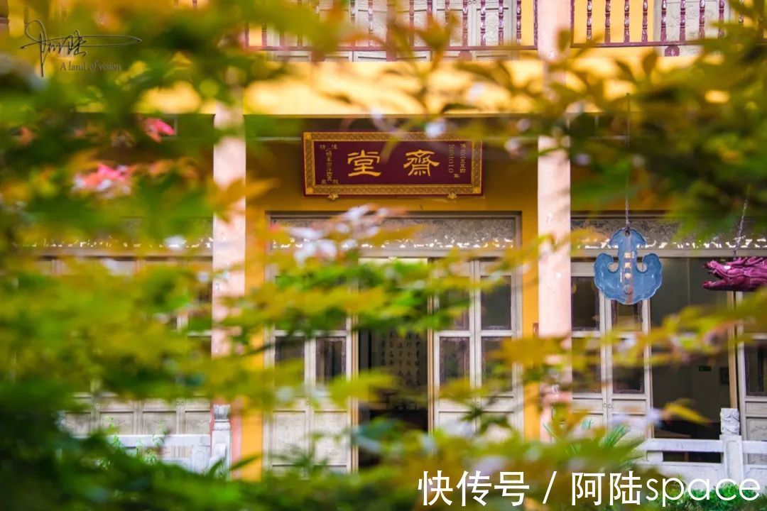杨梅树|苏州有座古寺因泉得名，周围却种满杨梅树，可能已有1000多年历史