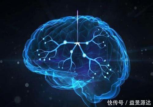 发育|宝宝大脑几岁会发育完全?三岁前出现这些标志,恭喜你,娃很聪明