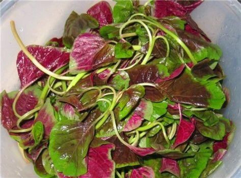 健康|每天坚持吃3种食物，营养丰富、滋润肌肤，早吃早健康！