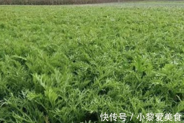 坏血酸|女人腰疼常吃一菜,不仅腰不疼腿不酸了,还有许多好处