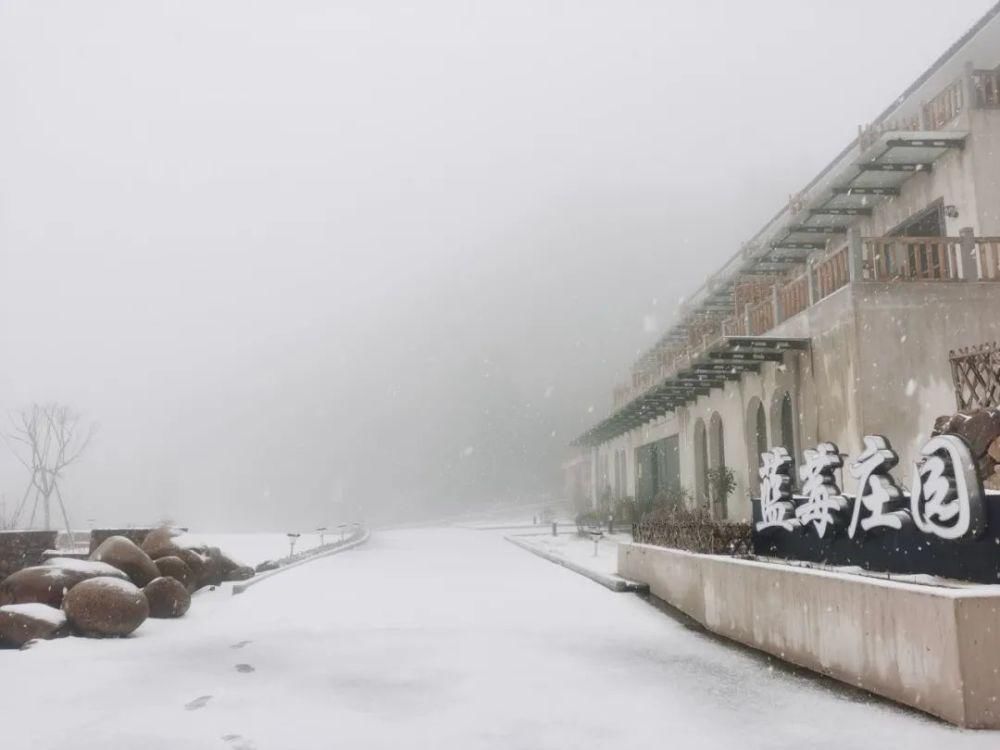 雪景|丽水这些地方下雪了，美炸了~最新雪景美图，请签收