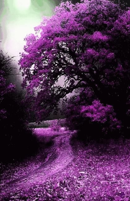 血管堵塞|65岁后的老人,选择静养好还是运动好这12种人最长寿,有你吗