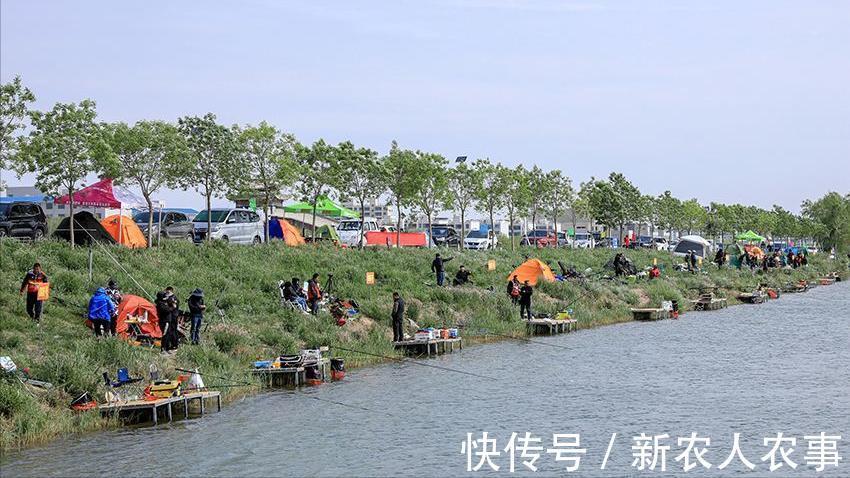 广东俩男子野钓爆护,直接在马路边摆摊叫卖,引来众人纷纷围观