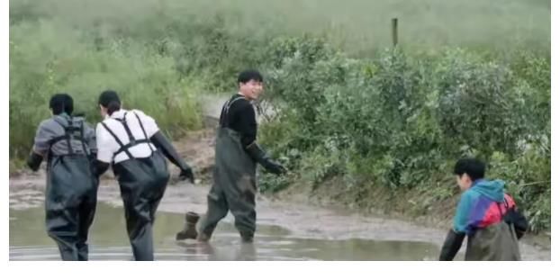 泥鳅|那英来蘑菇屋没架子，跳进水沟抓泥鳅，和陈赫李诞形成鲜明的对比