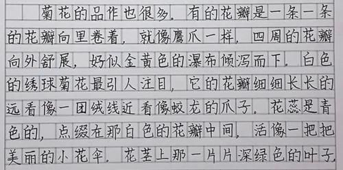 老师晒三年级学霸满分作文，字迹堪比“印刷体”，成家长传阅焦点