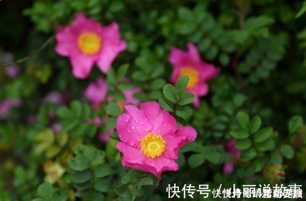 小便宜@俗话说:人贪3样,一生白忙,可惜很多人不了解,而“错失”财运