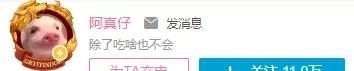 UP主|B站分区千百个,但这些UP主,一人“独占”一个分区
