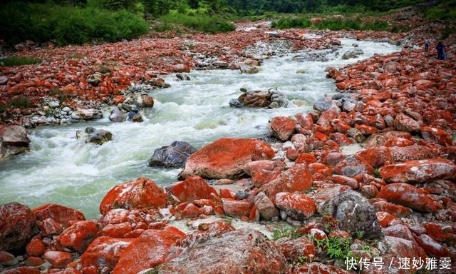 川西3日游｜赏雪山花海、瞰红石奇观、泡天然温泉…一路风光美绝