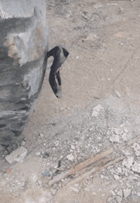 |搞笑GIF:买了双鞋子掉毛就认了,结果还自带染色功能