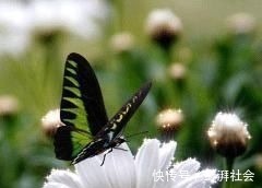 人心!良言20句,见证人心,看透人性看一次胜读十年书