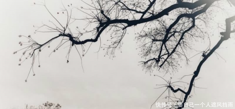 经典|李清照这首诗成为了绝唱,里面句句是经典,成为宋诗里的千古名篇