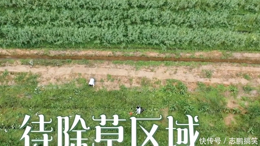 张艺兴 《向往5》惊现“奥特曼”,疑似陈赫李诞加盟,张艺兴与大妈抢购