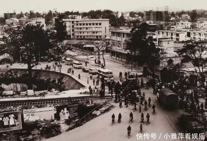 张爱玲探望生母,遭父亲毒打,姑姑:让她出去留学