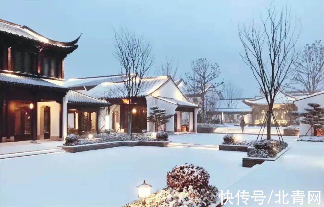 云海|太美了！台州最新雪景！括苍山跌至-10℃，再现云海奇观