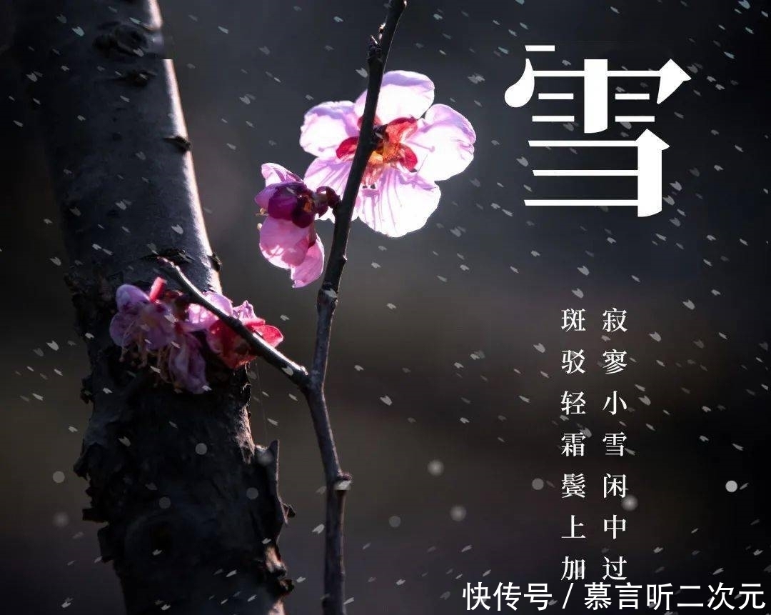 梅花|才女因冤入狱,一首雪词让她重返自由