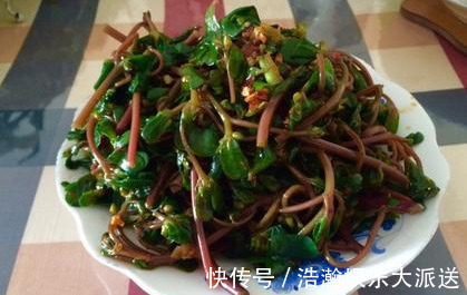 燃脂|女性想要身体好,多吃3种食物,排毒燃脂,清理肠胃,营养又瘦身