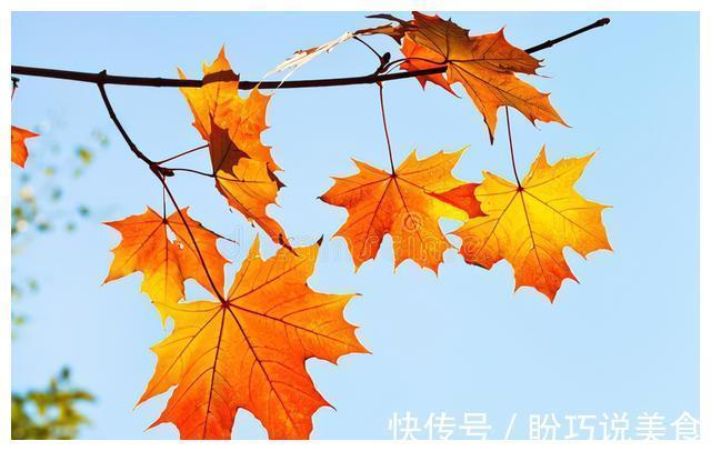 丸子|入秋后,记得给孩子吃6种“白色食物”,滋阴润燥,平安度过秋天