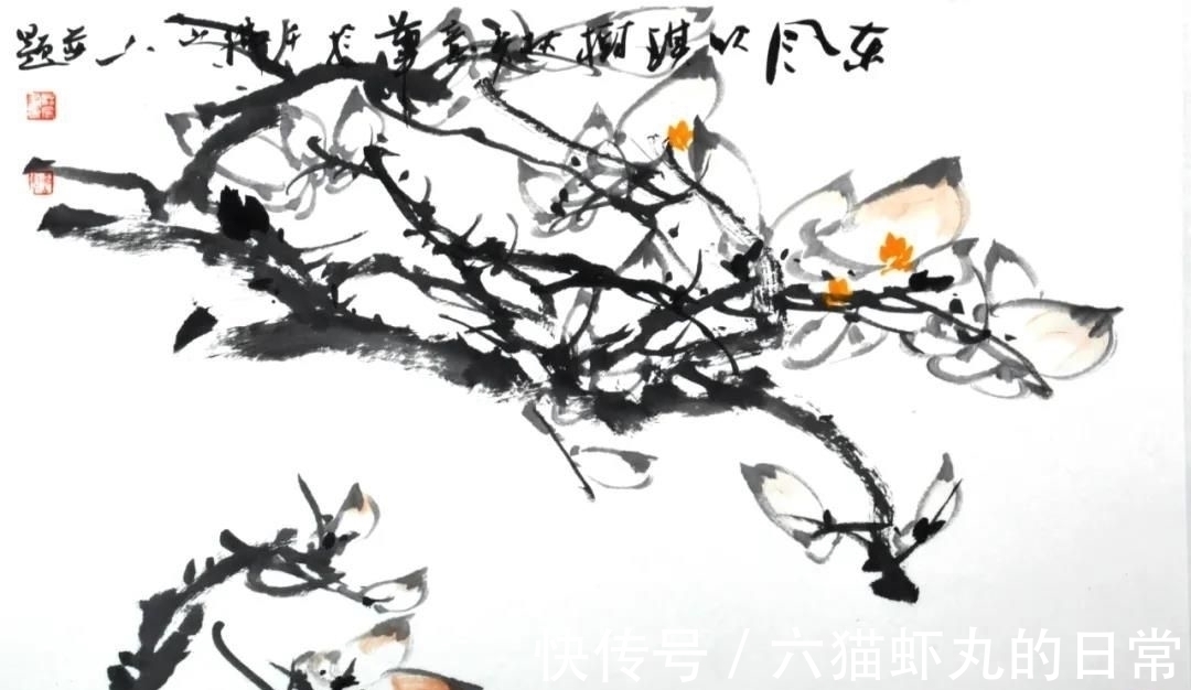 玉兰@著名花鸟画家林兵:那些追逐“花容月貌”的往事与传说