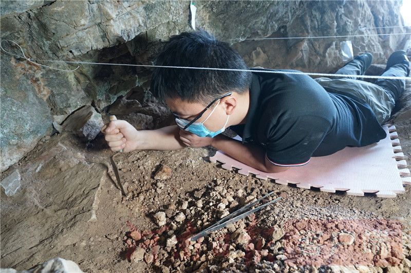 河南&河南鲁山仙人洞遗址发现3.2万年前现代人头骨